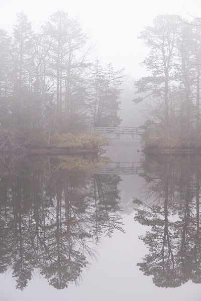 Jaynes Gallery 아티스트의 USA-New Jersey-Pine Barrens National Preserve Foggy forest landscape and bridge reflect in lake작품입니다.